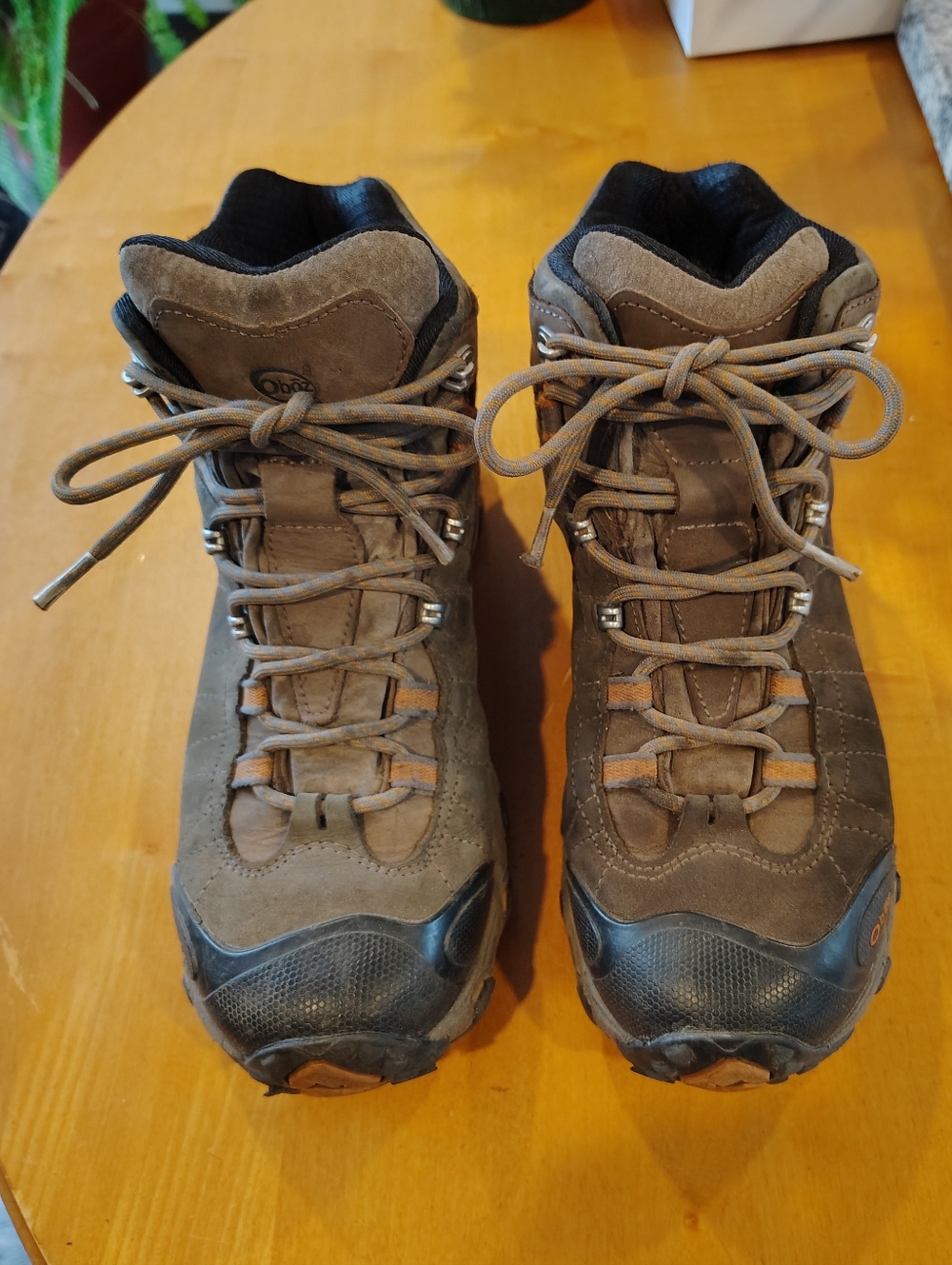 Men's Oboz Bridger Mid B-Dry Hiking Boots - Size 9 1/2